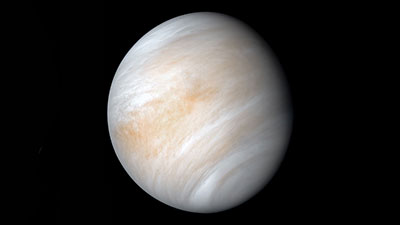 Venus Venus